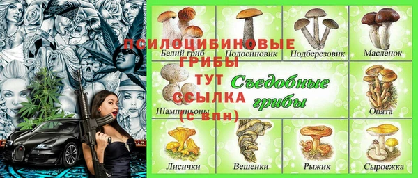 тгк Алексин