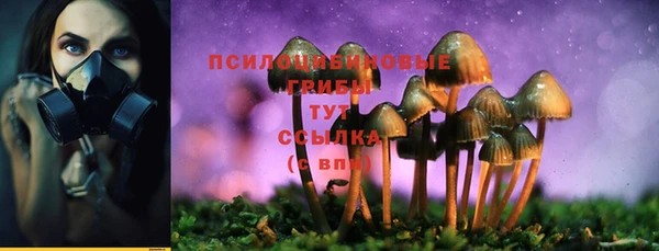 герыч Алзамай