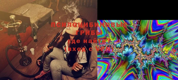 тгк Алексин