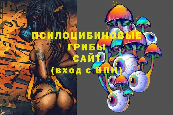 тгк Алексин