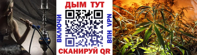 где можно купить наркотик  Воткинск  Конопля White Widow 